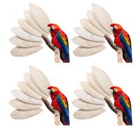 6 Pcs Osso Di Seppia Ossi Giocattolo Da Masticare Parpot
