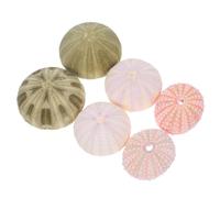 6 Pcs Riccio Di Mare Decorazione Accessori Acquario Ornamenti Per