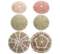6 Pcs Riccio Di Mare Decorazione Forma Arredo Acquario Ornamento