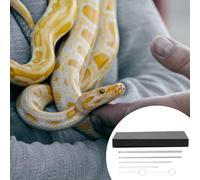 6 Pcs Sonda Di Genere Del Serpente Sesso Kit Per Il Dei Serpenti