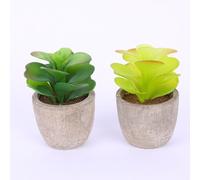 6 Pcs Vasi Piccoli Per Piante Grasse Simulazione Di Vaso Fiori Artificiali