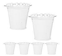 6 Pcs Vaso Succulento Piccoli Secchielli Per Matite Vasi Da Fiori