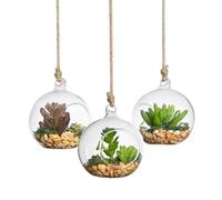 6 pezzi 100 mm trasparente a forma di palla appeso vasi di design a base