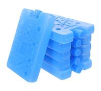 6 Pezzi Box Ghiaccio Riutilizzabile PE Blu per Borse Frigo e Pranzo | Raffreddamento Costante, per Catena del Freddo e Viaggi in Auto, Adatto a Cestini e Contenitori