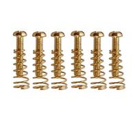 6 Pezzi Chitarra Elettrica Basso Ponte Cordiera Selle Viti+Molle Oro