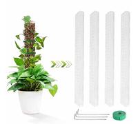 6 pezzi da 61 cm per piante d'appartamento Monstera, asta per piante rampicanti, con supporto in plastica, per piante da interni e rampicanti