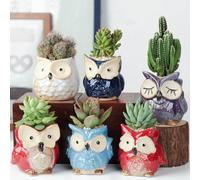 6 pezzi di pentole succulente, pentole pianta succulente a forma di gufo con foro di drenaggio, 6 stili vasi di ceramica per piante vaso di fiori decorativi per un regalo da giardino da scrivania, pi