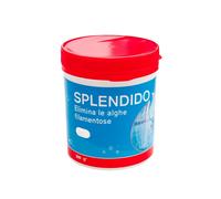 6 Pezzi di Splendido Antialghe per Laghetto in Polvere Dose per 30000 Litri