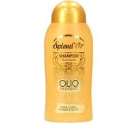 6 pezzi di splend'or shampoo olio ml.300