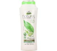 6 pezzi di winni's shampoo grassi te' verde ml.250