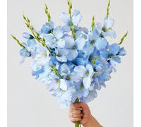 6 pezzi Fiori artificiali in seta da 55 cm, inclusi narcisi e magnolie, adatti per decorare la casa, il soggiorno, i tavoli di matrimonio, per creare un tema romantico, adatti anche per San Valentino,