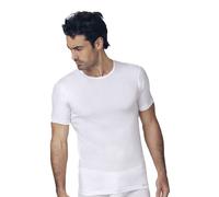 6 Pezzi Maglia Uomo Mezza Manica Girocollo Nottingham TM700 in Cotone Jersey