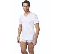 6 Pezzi Maglia Uomo Mezza Manica Scollo a V Nottingham TV700 in Cotone Jersey