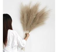 6 pezzi Pampas Decorative Alte 113cm Marrone Pampa Artificiali Fiori Secchi Erba di Pampa XXL Piume Decorative grigio per Soggiorno, Casa, Pavimento, Vaso, Decorazione Boemia