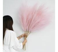 6 pezzi Pampas Decorative Alte 113cm Rosa Pampa Artificiali Fiori Secchi Erba di Pampa XXL Piume Decorative grigio per Soggiorno, Casa, Pavimento, Vaso, Decorazione Boemia