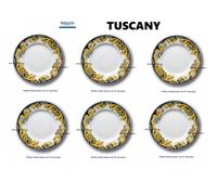 6-PEZZI PIATTO FRUTTA DM 21 DESSERT TUSCANY PORCELLANA DECORATO HORECA 11 2023