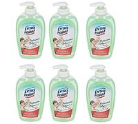 LYSOFORM MEDICAL SAP LIQ. FRESC 25