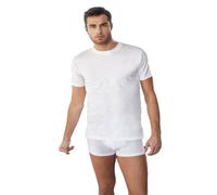 6 Pezzi T-Shirt Uomo Mezza Manica Girocollo Nottingham TM6101 in Cotone Jersey