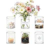 6 Pezzi Vaso Vetro Trasparente per Fiori,8 x 6.5 cm Cilindro Vaso di Fiori in Vetro Trasparente,Centrotavola Cilindrico in Vetro Decorativo,Vasi per Porta Candela, Fiori, Conchiglie, Perline