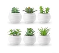 6 piante grasse artificiali realistiche in vaso, per decorare casa e ufficio, per migliorare l'aspetto visivo senza attività quotidiane di manutenzione