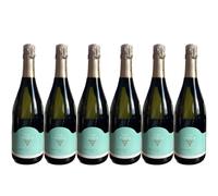 6 PROSECCO Spumante Treviso Doc VAL D OCA Valdobbiadene