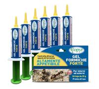6 PZ Copyr Gel Formiche Forte 25 gr. per Ambienti Interni ed Esterni 1H3P