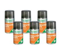 6 PZ Copyr Kenyatrin Safe 250 ml Insetticida Insetti Volanti 1H3L