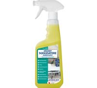 6 PZ Detergente Sgrassatore Universale Igienizzante 750ml Professionale