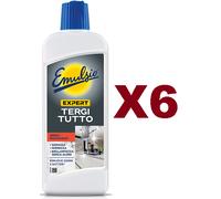 6 PZ EMULSIO TERGITUTTO SGRASSATORE IGIENIZZANTE SENZA RISCIACQUO 375ML