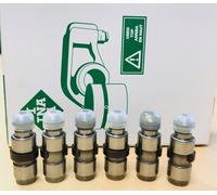 6 Pz. Idraulici Per SMART Valvole 0,6L 0,7L 598CCM 698CCM Benzina INA