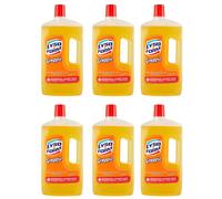 12 pz Lyso Form Greggio Pavimenti Detergente Disinfettante Uccide i Batteri 1Lt