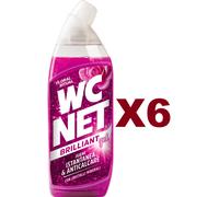 6 PZ WC NET BRILLANT GEL IGIENE ISTANTANEA &ANTICALCARE FLORAL RITUAL 700ML