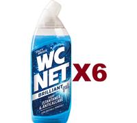 6 PZ WC NET BRILLANT GEL IGIENE ISTANTANEA &ANTICALCARE SALTY BREEZE 700ML