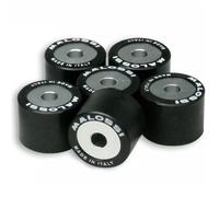 KIT 6 RULLI MALOSSI 6 HTRoll 20x17 gr.09,5 CALIBRATI ALTA RESISTENZA 6611095G0