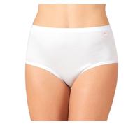 6 slip culotte maxi vita alta elasticizzato da donna in cotone bielastico DS302