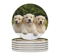 6 sottobicchieri per bevande a forma di cuccioli di Golden Retriever con base in sughero, sottobicchieri rotondi per tazze, tappetino di protezione da tavolo per diversi tipi di tazze