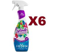6 SPLENDEO IL PROFUMATORE IGIENIZZANTE MAGIE DI FRUTTA CON ANTIBATTERICO 750ML