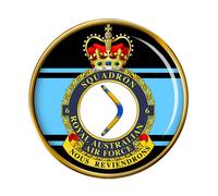 6 Squadron, Raaf Reale Australiano Air Force Spilla