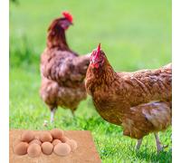 6 tappetini per pollaio, tappetini da giardino, tappetino per nidificazione,