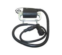 6 V Coil di accensione Compatibile con DAX CT70 ST70 50 CHALY CF50 CF70 PARTI DI MOTORE MOTORE