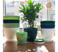 6 Vasi in plastica classici con vassoi - Leggeri, adatti per uso interno/esterno, perfetti per il giardinaggio e la cura del prato, uso interno/esterno per il giardinaggio e la cura del prato, questi 