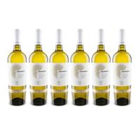 6 VERMENTINO Salento Vecchia Torre Leverano