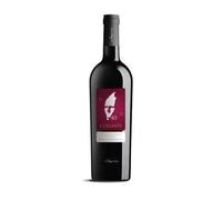 6 x 0.75 l - I Gigani, Nieddera Valle del Tirso IGT, Contini