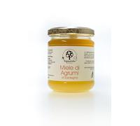 6 x 250 gr - Miele di Agrumi - Miele Sardo - L’Ape Sarda Aresu