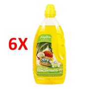 6 X Alga Bio Sapone In Gel Concentrato Bucato A Mano E Lavatrice - Origine Vege