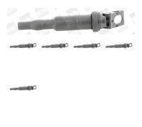 6 x Bobina d'accensione BorgWarner (BERU) per ALPINA, BMW, CITRON, DS, MINI