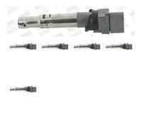 6 x Bobina d'accensione BorgWarner (BERU) per AUDI, SKODA, VW ATLAS (CA1, CA2