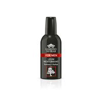 giardino dei sensi profumo for men legni medi