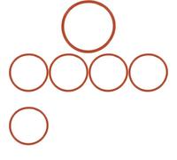 6 x Guarnizione collettore aspirazione VICTOR REINZ per BMW, LAND ROVER 1 E87
