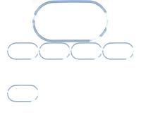 6 x Guarnizione collettore aspirazione VICTOR REINZ per FORD, MAZDA MAVERICK
